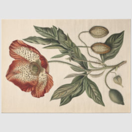 Poppy Illustratie Meubels Decoupage Tissuepapier