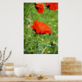 Poppy ingelijste print (Keuken)