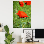 Poppy ingelijste print (Thuiskantoor)