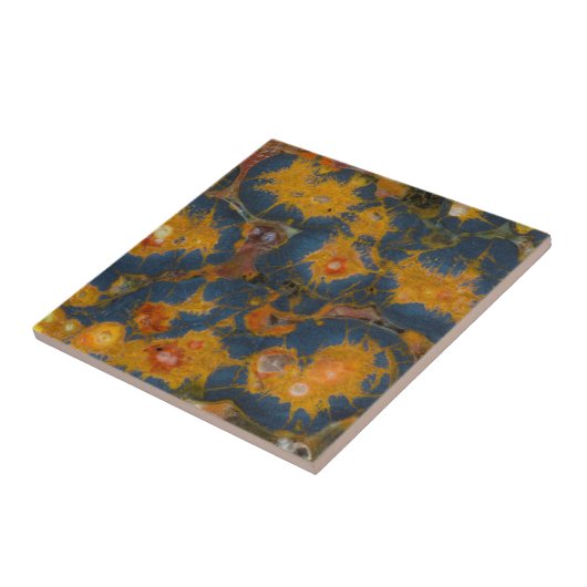 Poppy Jasper Tegeltje (Zijkant)