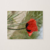 Poppy Jigzaag Puzzle Legpuzzel (Horizontaal)