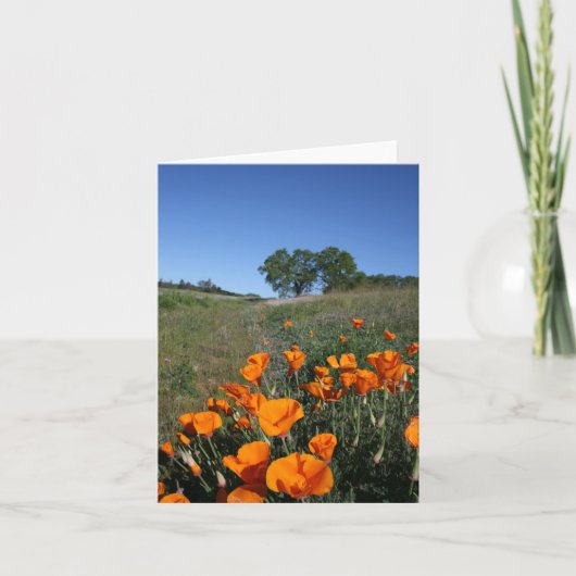 Poppy Landscape, Blank Note Kaart (Voorkant)