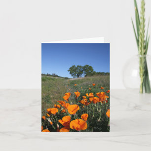 Poppy Landscape, Blank Note Kaart
