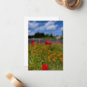 Poppy & Lavendel Veld Notitiekaartje (Voorkant / Achterkant in situ)