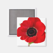 Poppy magnet (Voorkant / Achterkant)