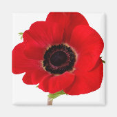 Poppy magnet (Voorkant)