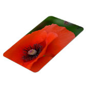 Poppy Magnet Magneet (Linkerzijde)