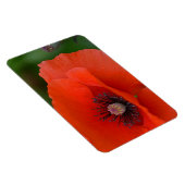 Poppy Magnet Magneet (Rechterzijde)