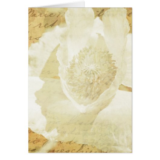 Poppy Marie (Voorkant)