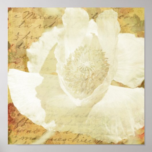 Poppy Marie Poster (Voorkant)