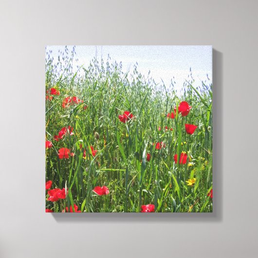 Poppy Meadow Canvas Afdruk (Voorkant)