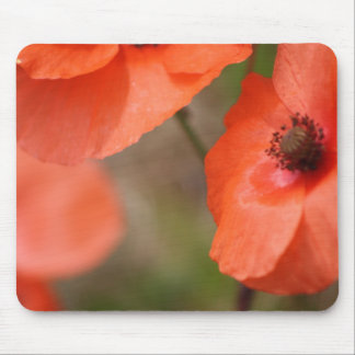 Poppy Mouse mat Muismat