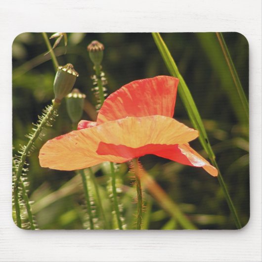 Poppy Mousepad Muismat (Voorkant)