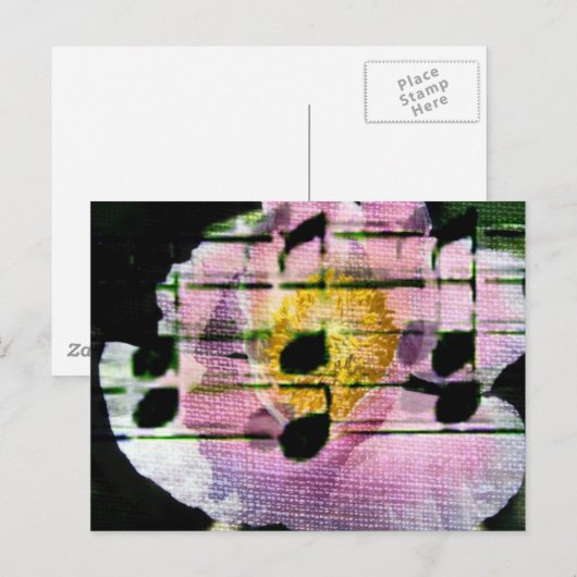 Poppy Music Briefkaart (Voorkant / Achterkant)