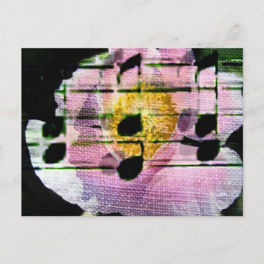 Poppy Music Briefkaart (Voorkant)