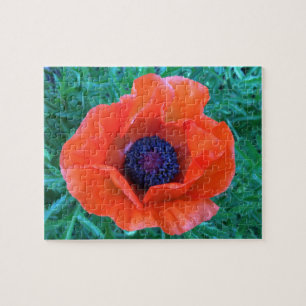 POPPY Oriental Red Sinaasappel — Legpuzzel