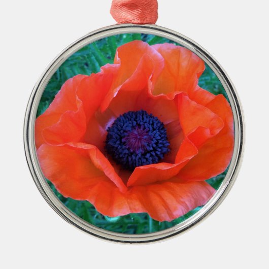 POPPY Oriental Red Sinaasappel — Metalen Ornament (Voorkant)