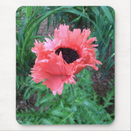 POPPY "Pink Ruffles" — Muismat