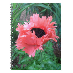POPPY "Pink Ruffles" — Notitieboek