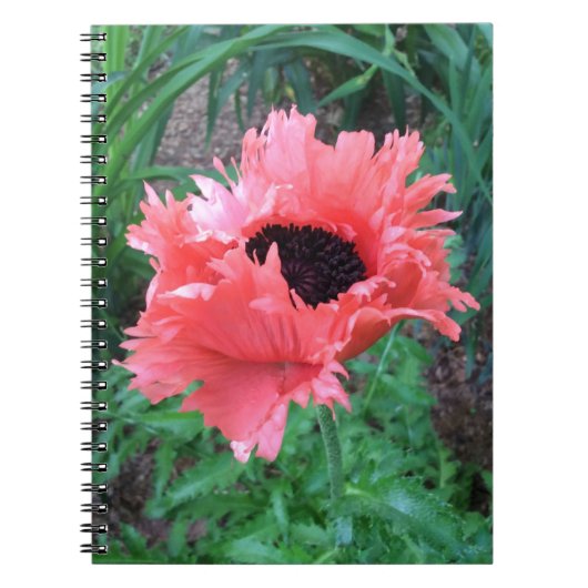 POPPY "Pink Ruffles" — Notitieboek (Voorkant)