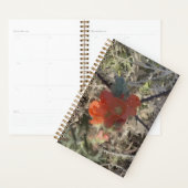 Poppy Planner (Display)