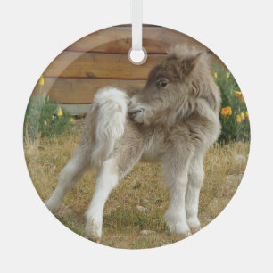 Poppy Pony Glas Ornament