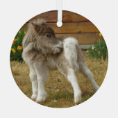 Poppy Pony Glas Ornament (Achterkant)