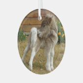 Poppy Pony Glas Ornament (Voorkant links)