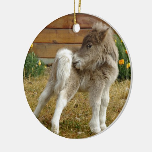 Poppy Pony Keramisch Ornament (Links)