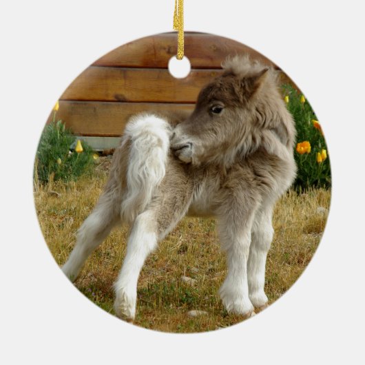 Poppy Pony Keramisch Ornament (Achterkant)