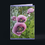 Poppy Poppies Roze paarse Bloemen Verjaardag Kaart<br><div class="desc">Paarse Poppy Flowers Floral foto Birthday Card,  met volledig  meisjesnaam. Foto van de violen die groeien in een pot hier in mijn tuin in de lente. Stuur een kaart met de kleuren,  vorm en schoonheid van de natuur. Een kleine glimlach op een kaart!</div>