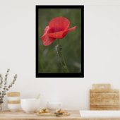 Poppy. Poster door cARTerART (Keuken)