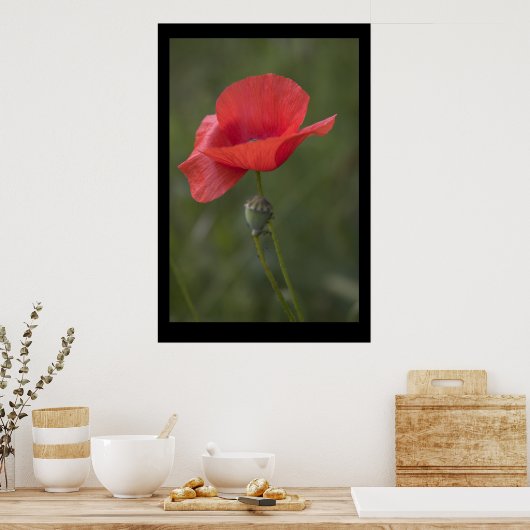 Poppy. Poster door cARTerART (Keuken)