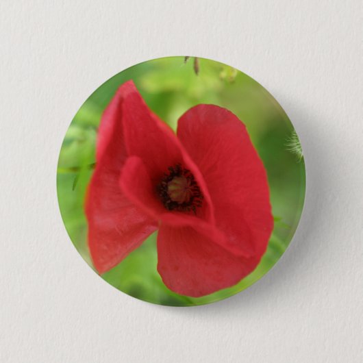 Poppy Red Ronde Button 5,7 Cm (Voorkant)