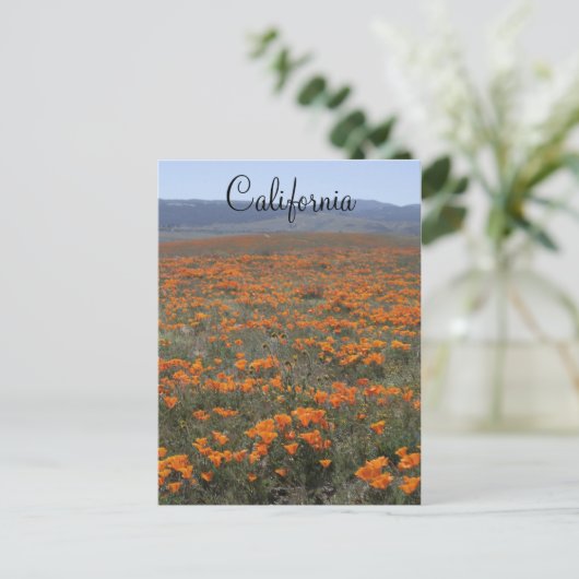 Poppy Reserve Briefkaart (Staand voorkant)