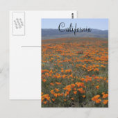 Poppy Reserve Briefkaart (Voorkant / Achterkant)