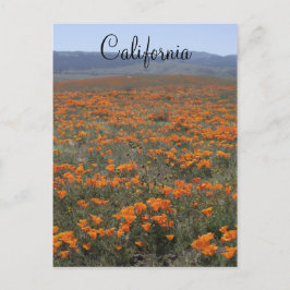 Poppy Reserve Briefkaart