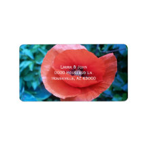 Poppy. Rode bloem.