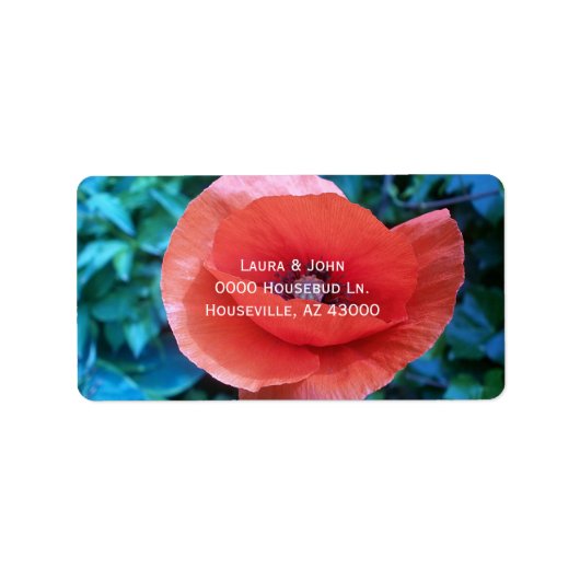 Poppy. Rode bloem. Etiket (Voorkant)