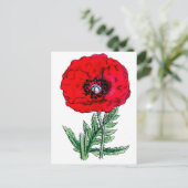 Poppy rode bloemen  wijnstokken bloesems briefkaart (Staand voorkant)