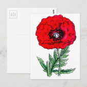 Poppy rode bloemen  wijnstokken bloesems briefkaart (Voorkant / Achterkant)