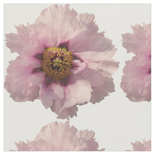Poppy roze stof (Close Up)