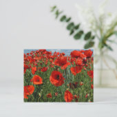 Poppy Seeds Flowers Field Briefkaart (Staand voorkant)
