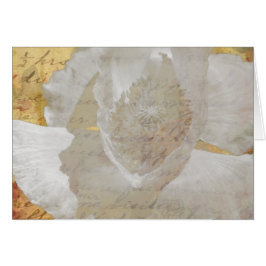 Poppy Sepia Alle gelegenheden zijn leeg in de groe