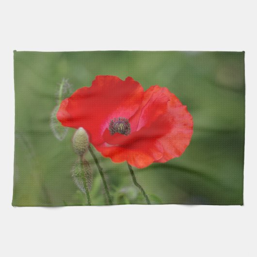 Poppy Tea Towel Theedoek (Horizontaal)