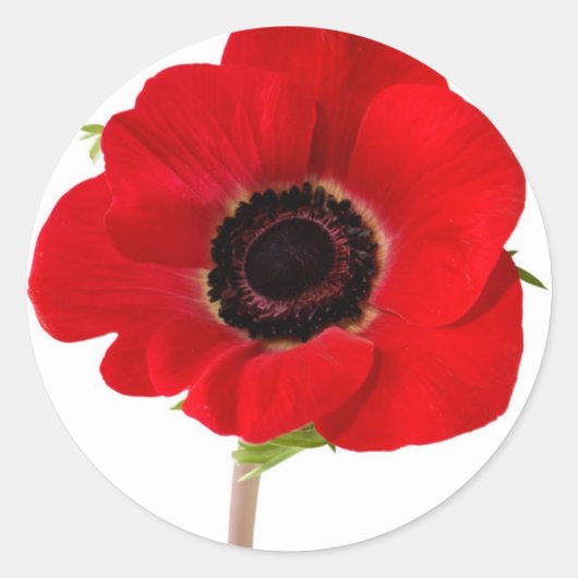 POPPY van Herdenking Ronde Sticker (Voorkant)