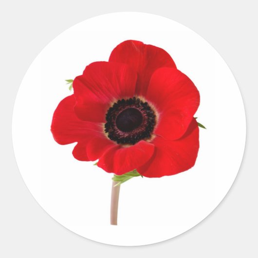 POPPY van Herdenking Ronde Sticker (Voorkant)