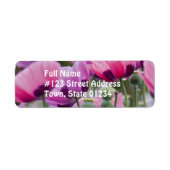 Poppy veld mailing label (Voorkant)