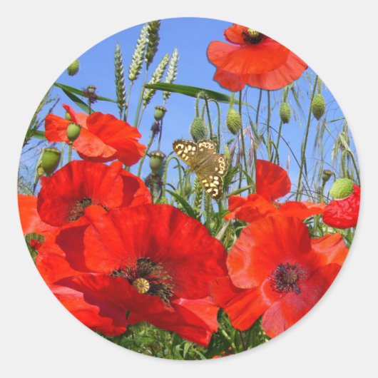  Poppy Veld met Vlinder Ronde Sticker (Voorkant)