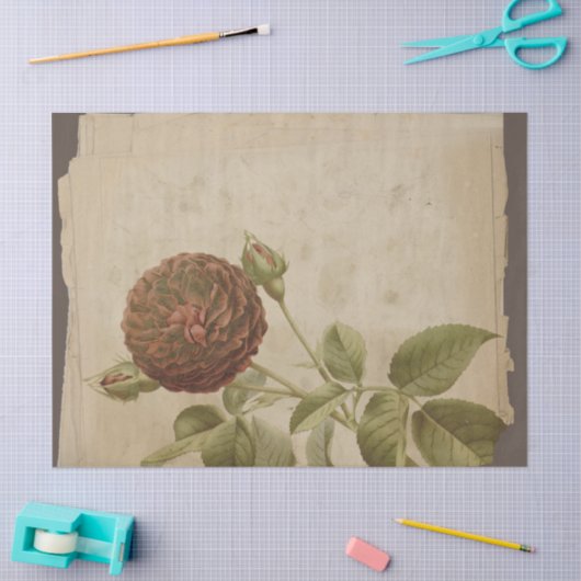 Poppy ventilator op onderdrukte ontkoppeling tissuepapier (Craft)